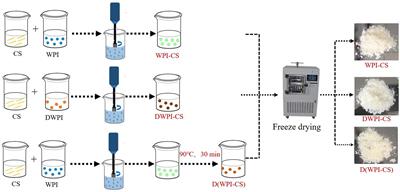 Influence of thermal denaturation on whey protein isolates in combination with chitosan for fabricating Pickering emulsions: a comparison study
